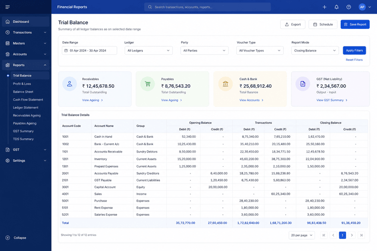 Accounting-based business reports software visual